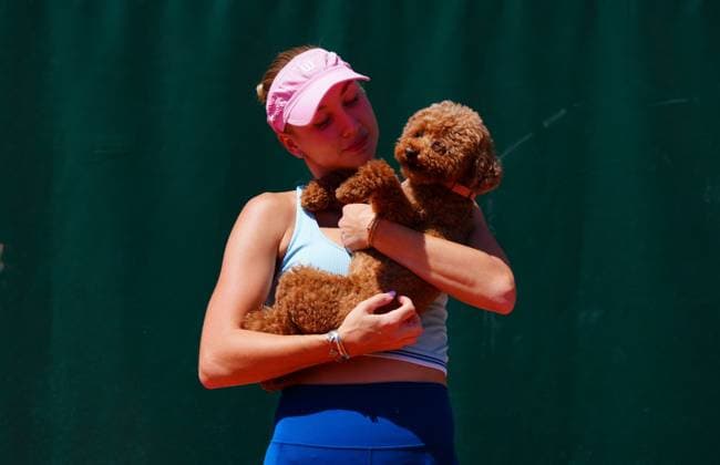 The toy poodle of Anastasia Potapova attends her training session with Emma Raducanu French Open Tennis, Friday Previews, Qualifying and Practice, Tennis, Roland Garros, Paris, France - 22 May 2026Paris Roland Garros France EDITORIAL USE ONLY No use with unauthorised audio, video, data, fixture lists, club league logos or live services. Online in-match use limited to 120 images, no video emulation. No use in betting, games or single club league player publications. Copyright: xJavierxGarcia Shutterstockx 16887306ba