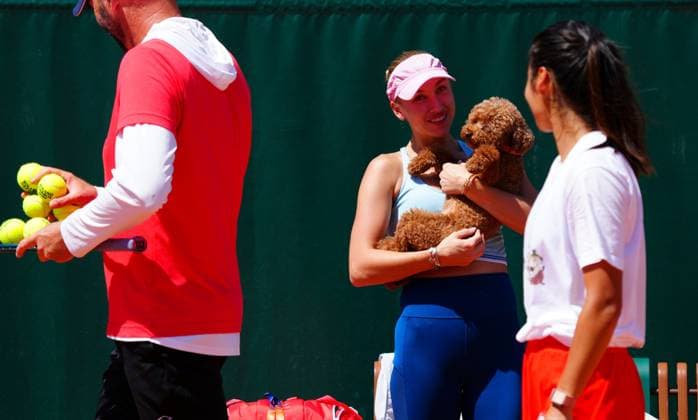 The toy poodle of Anastasia Potapova attends her training session with Emma Raducanu French Open Tennis, Friday Previews, Qualifying and Practice, Tennis, Roland Garros, Paris, France - 22 May 2026Paris Roland Garros France EDITORIAL USE ONLY No use with unauthorised audio, video, data, fixture lists, club league logos or live services. Online in-match use limited to 120 images, no video emulation. No use in betting, games or single club league player publications. Copyright: xJavierxGarcia Shutterstockx 16887306bd