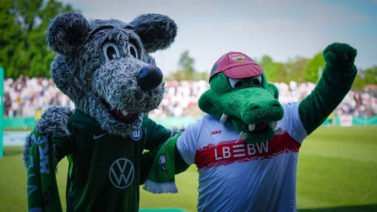 Soccer, A Juniors, Season 2025 2026, DFB Cup, Final, VfB Stuttgart U19 vs VfL Wolfsburg U19, Friday 22 05 2026, Karl Liebknecht Stadium Potsdam, In the picture mascots Wölfi l and Fritzel r Brandenburg Germany