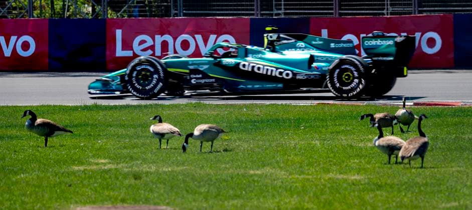 MONTREAL Birds remain undisturbed on the grass while the Formula 1 cars speed past during Formula 1 Canada at the Circuit Gilles Villeneuve on May 22, 2026, in Montreal, Canada Photo by DeFodi Images
