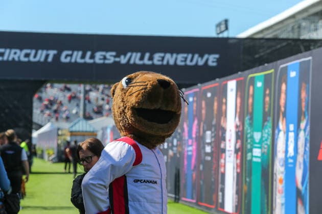 IPA84984065 - Paddock Atmosphere - Canada GP Mascot during the Free Practice of Formula 1 AWS Canadian Grand Prix 2026 at Circuit Gilles Villeneuve in Montreal, Canada. Round 7 of the 2026 FIA Formula One World Championship, WM, Weltmeisterschaft held May 22-24, 2026. The Circuit Gilles Villeneuve on Ile Notre-Dame in Montreal, named after the legendary Ferrari driver, hosts the Sprint format for the seventh round. This event weekend features the F1 Sprint format, with a Sprint Shootout and Sprint Race in addition to the standard qualifying session and Grand Prix. during Formula 1 AWS Canadian Grand Prix 2026 - Round 7 - Circuit Gilles Villeneuve, Formula 1 Championship in , , May 22 2026  Copyright: xStefanoxFacchin xAlessioxDexMarcox xAvens-images.com AvensImages IPAxSportx xx 84984065