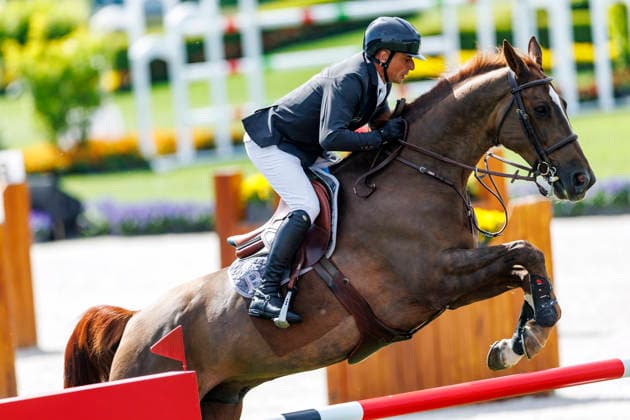 AACHEN TSCHIO 2026, AACHEN TSCHIO 2026 EPAILLARD Julien FRA , Easy Up de Grandry CSI5 Jumping competition penalties time Prize of CHIO Aachen CAMPUS Aachen, Soers Riding Stadium 23 May 2026