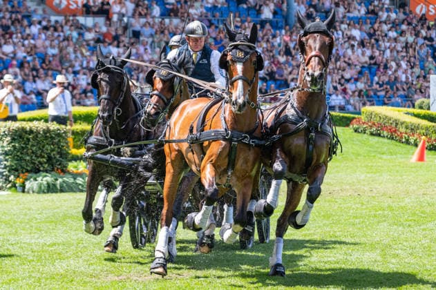 Team Richard Vogel Boyd Exellduring the TSCHIO 2026 (CHIO 2026) - MERKUR CASINO-Cup - Combined jumping and driving competition at the Allianz Park in Aachen, Germany  Copyright: xMartinxPitschx xSPPx Sportspressphoto_152150