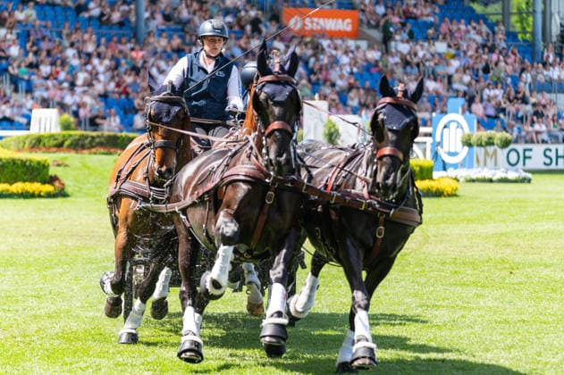 * during the TSCHIO 2026 (CHIO 2026) - MERKUR CASINO-Cup - Combined jumping and driving competition at the Allianz Park in Aachen, Germany  Copyright: xMartinxPitschx xSPPx Sportspressphoto_152152
