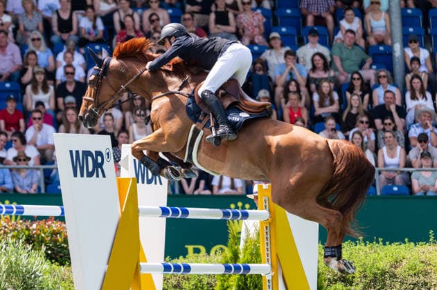 293 Antoine Ermann on Floyd Des Pres (FRA) during the TSCHIO 2026 (CHIO 2026) - 2nd Qualifier Rolex Grand Prix - CSI5* - Jumping competition with jump-off at the Allianz Park in Aachen, Germany  Copyright: xMartinxPitschx xSPPx Sportspressphoto_152467