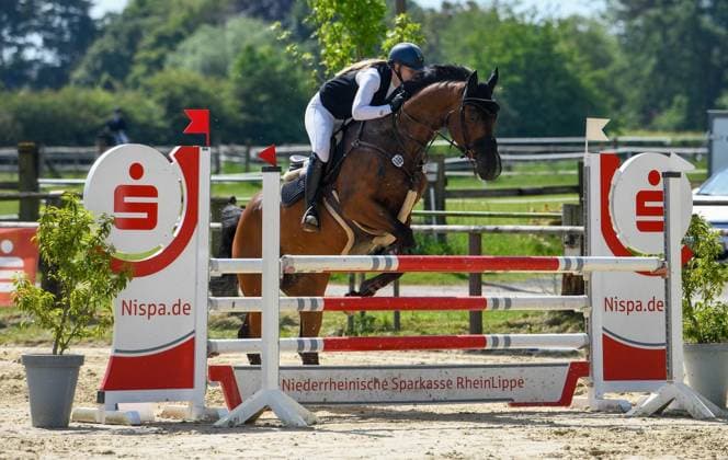 Pfingstturnier beim Reiterverein Voerde FOR EDITORIAL PURPOSES ONLY EDITORIAL USE ONLY p Ann Kathrin Kleinherbers from RFV Dinslaken Hiesfeld on Flying Banana 086 at 23 Stilspringprüfung Kl L 110 cm at the Pfingstturnier beim Reiterverein Voerde, on Saturday, 23 05 2026 in Voerde Germany NRW Voerde Copyright MarkusxJoosten Copyright: MarkusxJoosten doc85z5vtevl6b98c6sqmy ,EDITORIAL USE ONLY Copyright: MarkusxJoosten