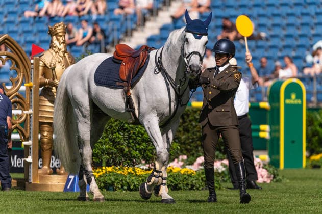 125 Andres Azcarraga on DMS Enkidu (MEX) during the TSCHIO 2026 (CHIO 2026) - Prize of CHIO Aachen CAMPUS - CSI5* - Jumping competition at the Allianz Park in Aachen, Germany  Copyright: xMartinxPitschx xSPPx Sportspressphoto_153261