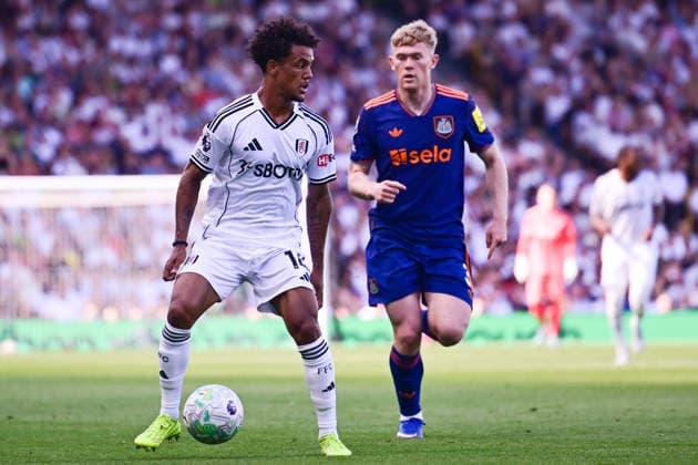 Football, England, FC Fulham - Newcastle United