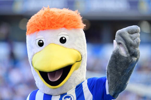 Brighton and Hove Albion v Manchester United, ManU Premier League Brighton mascot Gully before the Premier League match between Brighton and Hove Albion and Manchester United at the American Express Stadium, Brighton and Hove, UK on 24 May 2026. Brighton and Hove American Express Stadium East Sussex UK Editorial use only DataCo restrictions apply See www.football-dataco.com , Copyright: xJeffxMoodx PSI-24304-0100