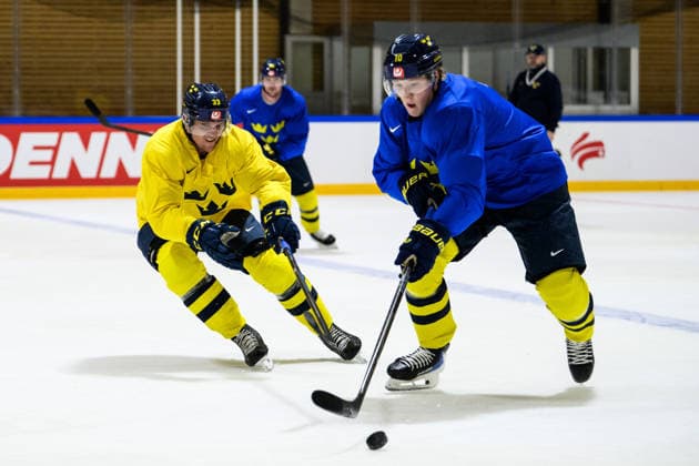 Ice Hockey, World Championship, National Team Sweden Training