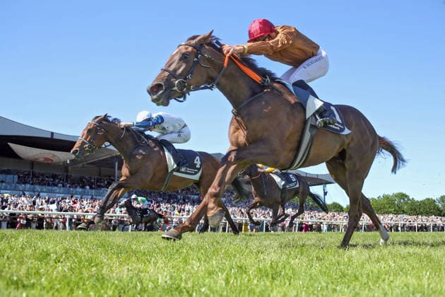 Equestrian sport, gallop, race day in Hanover