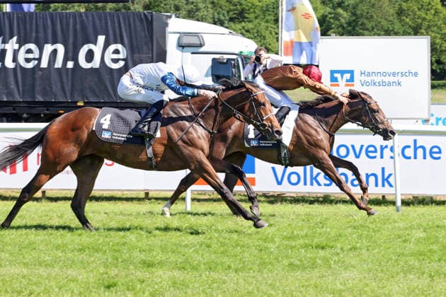 25 05 2026, Hanover, Lower Saxony, GER Alpenveilchen with Bauyrzhan Murzabayev wins at Hanover racecourse, Neue Bult 260525D974HANNOVER JPG