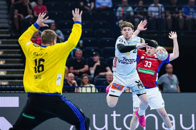 Handball, HBL, Handball Club Hamburg - Frisch Auf Göppingen
