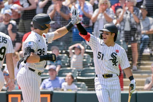 Baseball, MLB, Chicago White Sox - Minnesota Twins