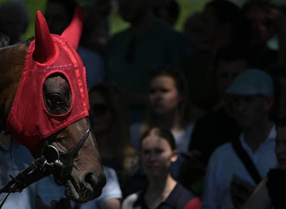 25 05 2026, xophax, kölngalopp , racecourse Weidenpesch , charity race day , horse with blinkers Cologne