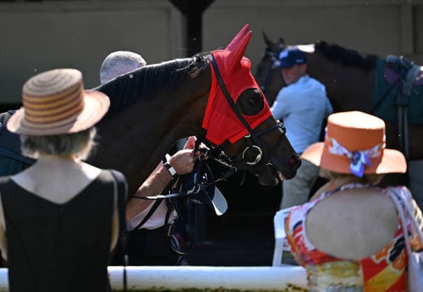 25 05 2026, xophax, kölngalopp , racecourse Weidenpesch , charity race day , horses with blinkers and women with hats Cologne