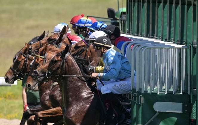 25 05 2026, xophax, kölngalopp , racecourse , Weidenpesch , charity race day , start into the race in front Martin Seidl with the horse Elegant Motivation Koeln