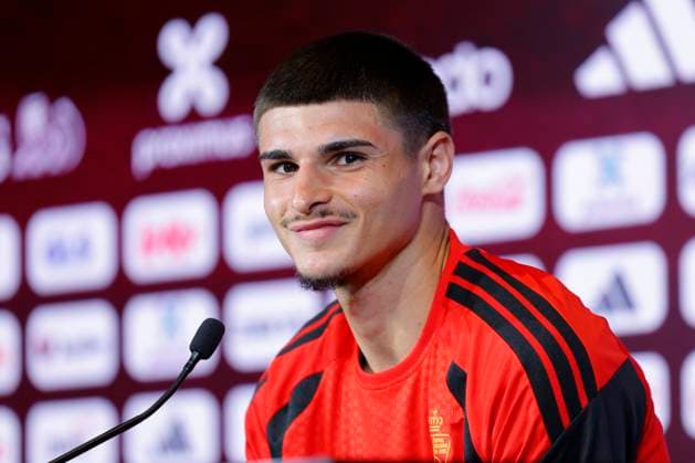 Football, Belgium national team, Press conference