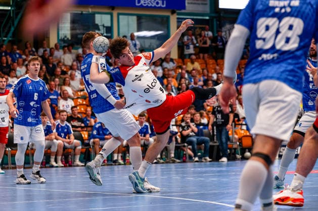 Handball, 2. BL, Dessau-Roßlauer HV - HBW Balingen-Weilstetten