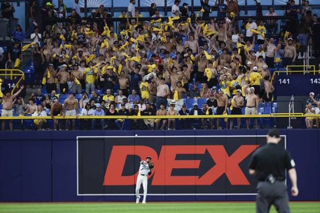 May 29, 2026, St. Petersburg, Florida, USA: Fans go Tarps Off in the game between the Tampa Bay Rays and the Los Angeles Angels on Friday, May 29, 2026 in St. Petersburg. St. Petersburg USA - ZUMAs70_ 20260529_zan_s70_003 Copyright: xLuisxSantanax