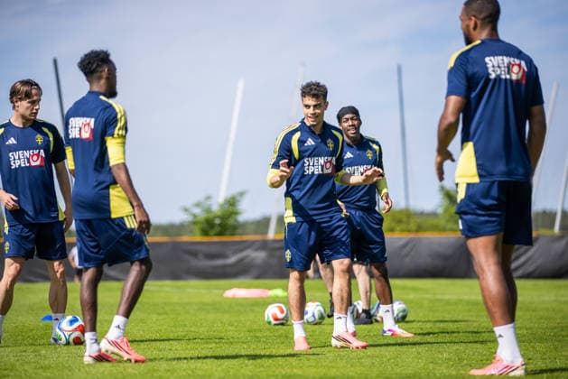 Football, Sweden national team, Training