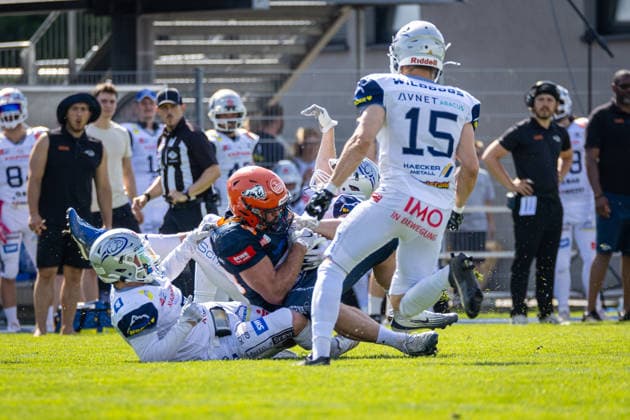 William Enneking (ifm Razorbacks Ravensburg, 80 Tight End) tackled by Martin Körber (Pforzheim Wilddogs, 02 Defensive Back) Pforzheim Wilddogs vs ifm Razorbacks Ravensburg, American Football, German Football League, Week 4, 2026, 30.05.2026, Pforzheim Kramski Arena Baden Württemberg Germany Copyright: xFootxBowl SebastianxJustx
