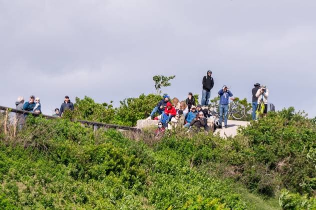 RECORD DATE NOT STATED 2026 Rolex SailGP Championship Mubadala New York Sail Grand Prix (NEW) 2026 Rolex SailGP Championship Mubadala New York Sail Grand Prix. May 30, 2026, New York, New York, USA: Spectators stand on a small hill on Governor& 39;s Island as they watch boats compete on Day 1 of the Mubadala New York Sail Grand Prix at New York Harbor on May 30, 2026 in New York City. (Credit: M10s TheNews2)(Foto: M10S Thenews2 imago images) SPO  Copyright: xM10sx