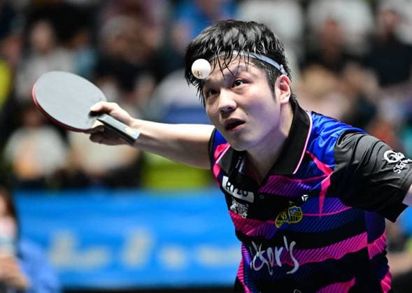 Olympic champion Fan Zhendong in the final of the TTBL Final Four in Frankfurt The Chinese Olympic champion Fan Zhendong from 1 FC Saarbrücken TT in action against Borussia Düsseldorf in the final of the TTBL Final Four in Frankfurt am Main at the Süwag Energie Arena on May 31, 2026 Frankfurt am Main Hessen Germany
