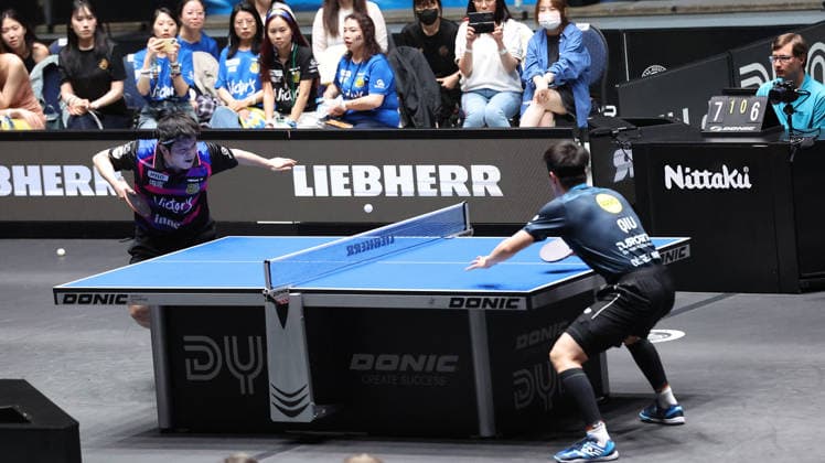 31 05 2026, xrekx, Table Tennis TTBL Final 4 Final, Borussia Düsseldorf 1 FC Saarbrücken v l Fan Zhendong 1 FC Saarbruecken TT Dang Qiu Borussia Duesseldorf DFL DFB REGULATIONS PROHIBIT ANY USE OF PHOTOGRAPHS as IMAGE SEQUENCES and or QUASI VIDEO Frankfurt am Main