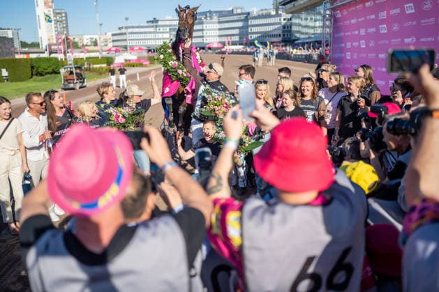 Equestrian sport, trotting, race day in Berlin-Mariendorf