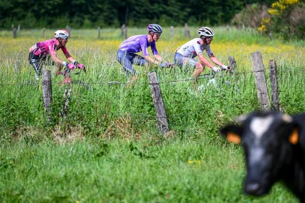 Tour de Wallonie 2026 Stage 2 LIBRAMONT-CHEVIGNY, BELGIUM - JUNE 02 : Hellemose Asbjorn (DEN) of Team Jayco AlUla, Melotte Matteo (BEL) of Color Code - Alu Center, Avoine Kevin (FRA) of Van Rysel Roubaix in the escape pack during stage 2 of the 47th edition of Ethias Tour de Wallonie an UCI ProSeries 2.Pro cycling road race stage for Men Elite of 192.1 km with start in Jodoigne and finish in Libramont-Chevigny on June 2, 2026 in Libramont-Chevigny, Belgium, 02 06 2026 ( Motordriver Pieter Van Herzele - Libramont-Chevigny Belgium  Copyright: xVincentxKalutx