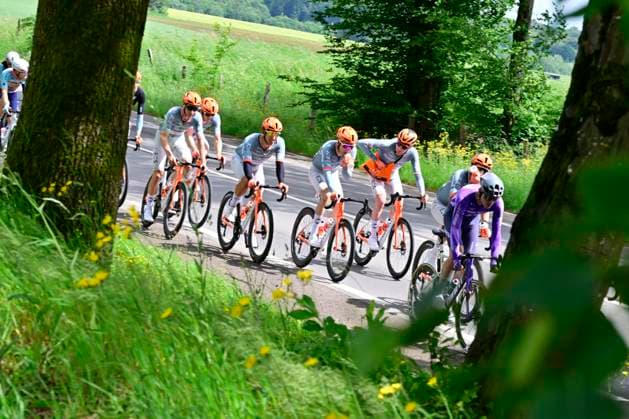 Tour de Wallonie 2026 Stage 3 VAUX-SUR-SÛRE, BELGIUM - JUNE 03 : Netcompany INEOS during stage 3 of the 47th edition of Ethias Tour de Wallonie an UCI ProSeries 2.Pro cycling road race stage for Men Elite of 176.9 km with start in Habay and finish in Vaux-sur-Sûre on June 3, 2026 in Vaux-sur-Sûre, Belgium, 03 06 2026 ( Motordriver Pieter Van Herzele - Vaux-sur-Sûre Belgium  Copyright: xSesx