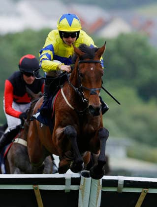 Newton Abbot Races, Newton Abbot, UK - 3 June 2026 Race winner, Yellow Card ridden by Sean Bowen. Race 1 - 2:30 Newton Abbot - Sun Racing Free Tickets With Sun Club Maiden Hurdle (GBB Race) (Class 4) at Newton Abbot Racecourse, Newton Abbot, Devon, England - Newton Abbot Newton Abbot Racecourse Devon England Copyright: xPhilxMingo PPAUKx PPA-278655