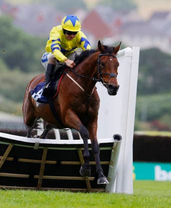 Newton Abbot Races, Newton Abbot, UK - 3 June 2026 Race winner, Yellow Card ridden by Sean Bowen. Race 1 - 2:30 Newton Abbot - Sun Racing Free Tickets With Sun Club Maiden Hurdle (GBB Race) (Class 4) at Newton Abbot Racecourse, Newton Abbot, Devon, England - Newton Abbot Newton Abbot Racecourse Devon England Copyright: xPhilxMingo PPAUKx PPA-278657