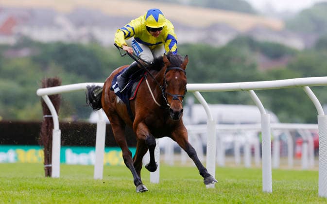 Equestrian sport, Gallop, Obstacle, Race day in Newton Abbot