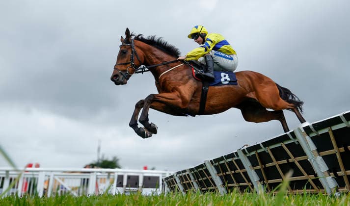 Newton Abbot Races, Newton Abbot, UK - 3 June 2026 Race winner, Yellow Card ridden by Sean Bowen. Race 1 - 2:30 Newton Abbot - Sun Racing Free Tickets With Sun Club Maiden Hurdle (GBB Race) (Class 4) at Newton Abbot Racecourse, Newton Abbot, Devon, England - Newton Abbot Newton Abbot Racecourse Devon England Copyright: xPhilxMingo PPAUKx PPA-278660
