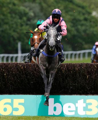 Newton Abbot Races, Newton Abbot, UK - 3 June 2026 Race winner, Dunkerque ridden by William Shanahan. Race 2 - 3:00 Newton Abbot - Edmundson Electrical Torquay NovicesÕ Handicap Chase (GBB Race) (Class 4) at Newton Abbot Racecourse, Newton Abbot, Devon, England - Newton Abbot Newton Abbot Racecourse Devon England Copyright: xPhilxMingo PPAUKx PPA-278666