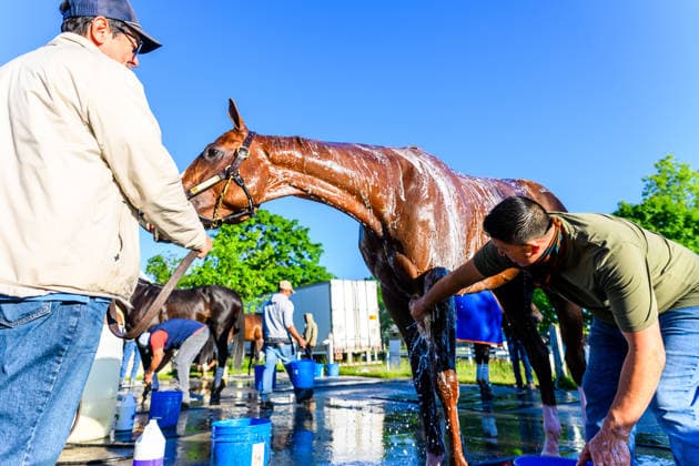 Horse Racing 2026: Belmont Stakes Preparations JUN 3 June 3, 2026, USA: Horses bathe at Saratoga Racecourse in Saratoga Springs, New York on June 3, 2026. Carlos J. Calo Eclipse Sportswire CSM(Credit Image: Â Carlos J. Calo Cal Media) USA EDITORIAL USE ONLY Copyright: xx ZUMA-20260603_faf_cs17_022.jpg CarlosxJ.xCalox csmphotothree492898