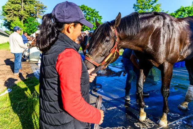 Horse Racing 2026: Belmont Stakes Preparations JUN 3 June 3, 2026, USA: Horses bathe at Saratoga Racecourse in Saratoga Springs, New York on June 3, 2026. Carlos J. Calo Eclipse Sportswire CSM(Credit Image: Â Carlos J. Calo Cal Media) USA EDITORIAL USE ONLY Copyright: xx ZUMA-20260603_faf_cs17_018.jpg CarlosxJ.xCalox csmphotothree492902