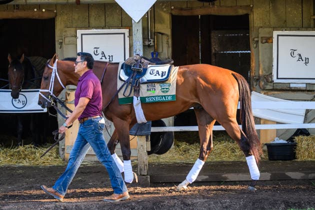 June 3, 2026, USA: Renegade at Saratoga Racecourse in Saratoga Springs, New York on June 3, 2026. Eclipse Sportswire CSM USA - ZUMAcs17 20260603_faf_cs17_026 Copyright: x CarlosxJ.xCalox