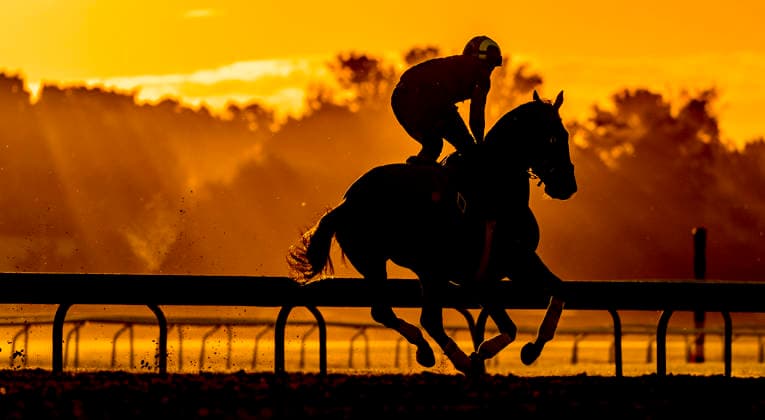 Equestrian sport, Gallop, Belmont Stakes in Saratoga Springs