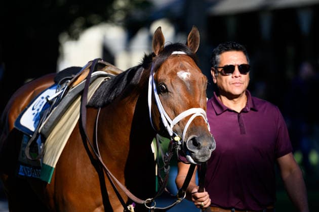Horse Racing 2026: Belmont Stakes Preparations JUN 3 June 3, 2026, USA: Renegade at Saratoga Racecourse in Saratoga Springs, New York on June 3, 2026. Carlos J. Calo Eclipse Sportswire CSM(Credit Image: Â Carlos J. Calo Cal Media) USA EDITORIAL USE ONLY Copyright: xx ZUMA-20260603_faf_cs17_057.jpg CarlosxJ.xCalox csmphotothree492952