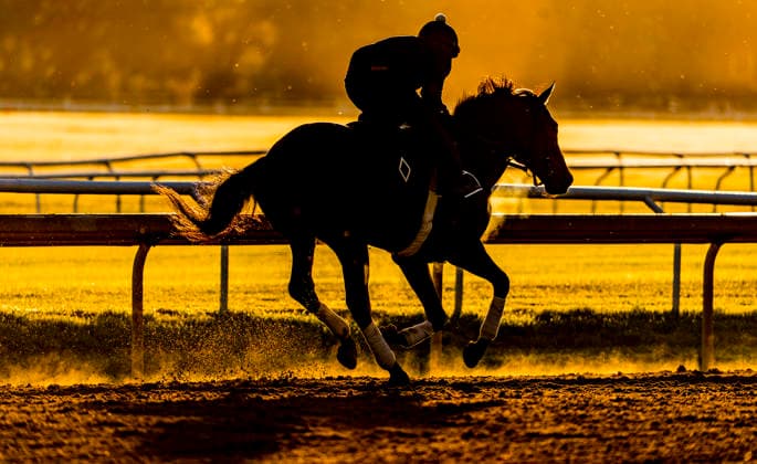 Horse Racing 2026: Belmont Stakes Preparations JUN 3 June 3, 2026, Saratoga Springs, Ny, USA: Scenes from around the track shortly after sunrise as horses exercise in preparation for the Belmont Stakes Racing Festival at Saratoga Racecourse in Saratoga Springs, New York on June 3, 2026. Scott Serio Eclipse Sportswire CSM(Credit Image: Scott Serio Cal Media) Saratoga Springs Ny USA EDITORIAL USE ONLY Copyright: xx ZUMA-20260603_faf_cs17_047.jpg ScottxSeriox csmphotothree492962