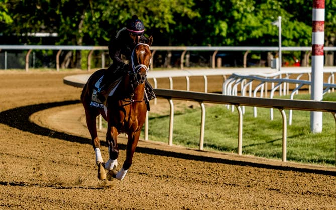 Horse Racing 2026: Belmont Stakes Preparations JUN 3 June 3, 2026, Saratoga Springs, Ny, USA: Renegade exercises as horses prepare for the Belmont Stakes Racing Festival at Saratoga Racecourse in Saratoga Springs, New York on June 3, 2026. Scott Serio Eclipse Sportswire CSM(Credit Image: Scott Serio Cal Media) Saratoga Springs Ny USA EDITORIAL USE ONLY Copyright: xx ZUMA-20260603_faf_cs17_045.jpg ScottxSeriox csmphotothree492964
