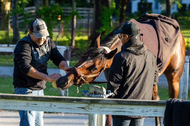 Horse Racing 2026: Belmont Stakes Preparations JUN 3 June 3, 2026, Saratoga Springs, Ny, USA: Golden Tempo prepares for the Belmont Stakes at the Saratoga Race Course on Belmont Stakes Festival Day 1 in Saratoga Springs, N.Y. on June 3, 2026.Gary Johnson Eclipse Sportswire CSM(Credit Image: Gary Johnson Cal Media) Saratoga Springs Ny USA EDITORIAL USE ONLY Copyright: xx ZUMA-20260603_faf_cs17_038.jpg GaryxJohnsonx csmphotothree492971