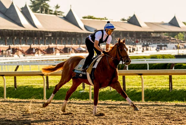 Horse Racing 2026: Belmont Stakes Preparations JUN 3 June 3, 2026, Saratoga Springs, Ny, USA: Emerging Market exercises as horses prepare for the Belmont Stakes Racing Festival at Saratoga Racecourse in Saratoga Springs, New York on June 3, 2026. Scott Serio Eclipse Sportswire CSM(Credit Image: Scott Serio Cal Media) Saratoga Springs Ny USA EDITORIAL USE ONLY Copyright: xx ZUMA-20260603_faf_cs17_076.jpg ScottxSeriox csmphotothree492933