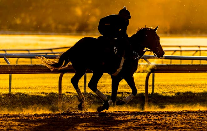 Horse Racing 2026: Belmont Stakes Preparations JUN 3 June 3, 2026, Saratoga Springs, Ny, USA: Scenes from around the track shortly after sunrise as horses exercise in preparation for the Belmont Stakes Racing Festival at Saratoga Racecourse in Saratoga Springs, New York on June 3, 2026. Scott Serio Eclipse Sportswire CSM(Credit Image: Scott Serio Cal Media) Saratoga Springs Ny USA EDITORIAL USE ONLY Copyright: xx ZUMA-20260603_faf_cs17_074.jpg ScottxSeriox csmphotothree492935