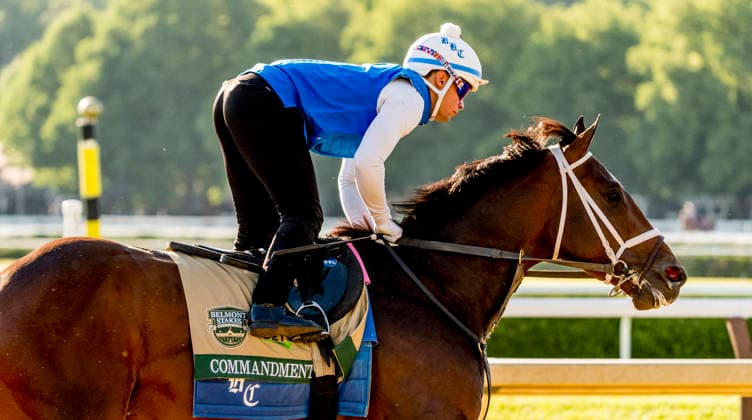 Horse Racing 2026: Belmont Stakes Preparations JUN 3 June 3, 2026, Saratoga Springs, Ny, USA: Commandment exercises as horses prepare for the Belmont Stakes Racing Festival at Saratoga Racecourse in Saratoga Springs, New York on June 3, 2026. Scott Serio Eclipse Sportswire CSM(Credit Image: Scott Serio Cal Media) Saratoga Springs Ny USA EDITORIAL USE ONLY Copyright: xx ZUMA-20260603_faf_cs17_073.jpg ScottxSeriox csmphotothree492936