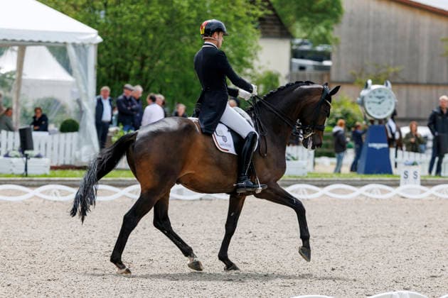 * Deutsche Meisterschaft Dressur Balve, Reitanlage Schloss Wocklum 04. June 2026 -