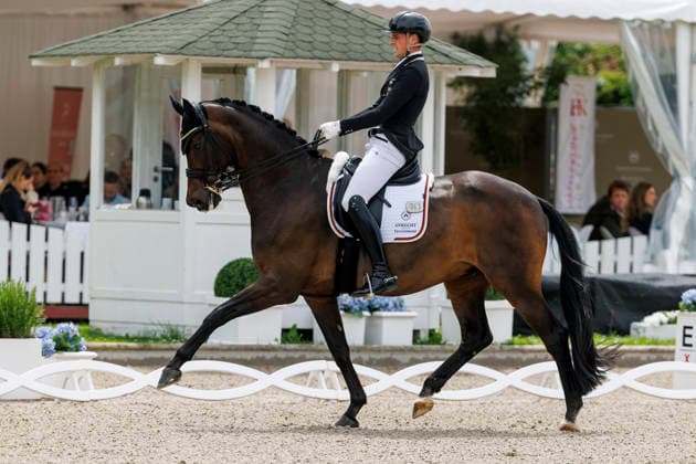 * Deutsche Meisterschaft Dressur Balve, Reitanlage Schloss Wocklum 04. June 2026 -